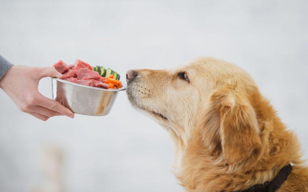 Alimentazione casalinga cotta cruda e barf