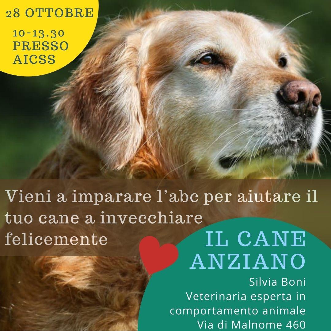 Seminario Cane Anziano