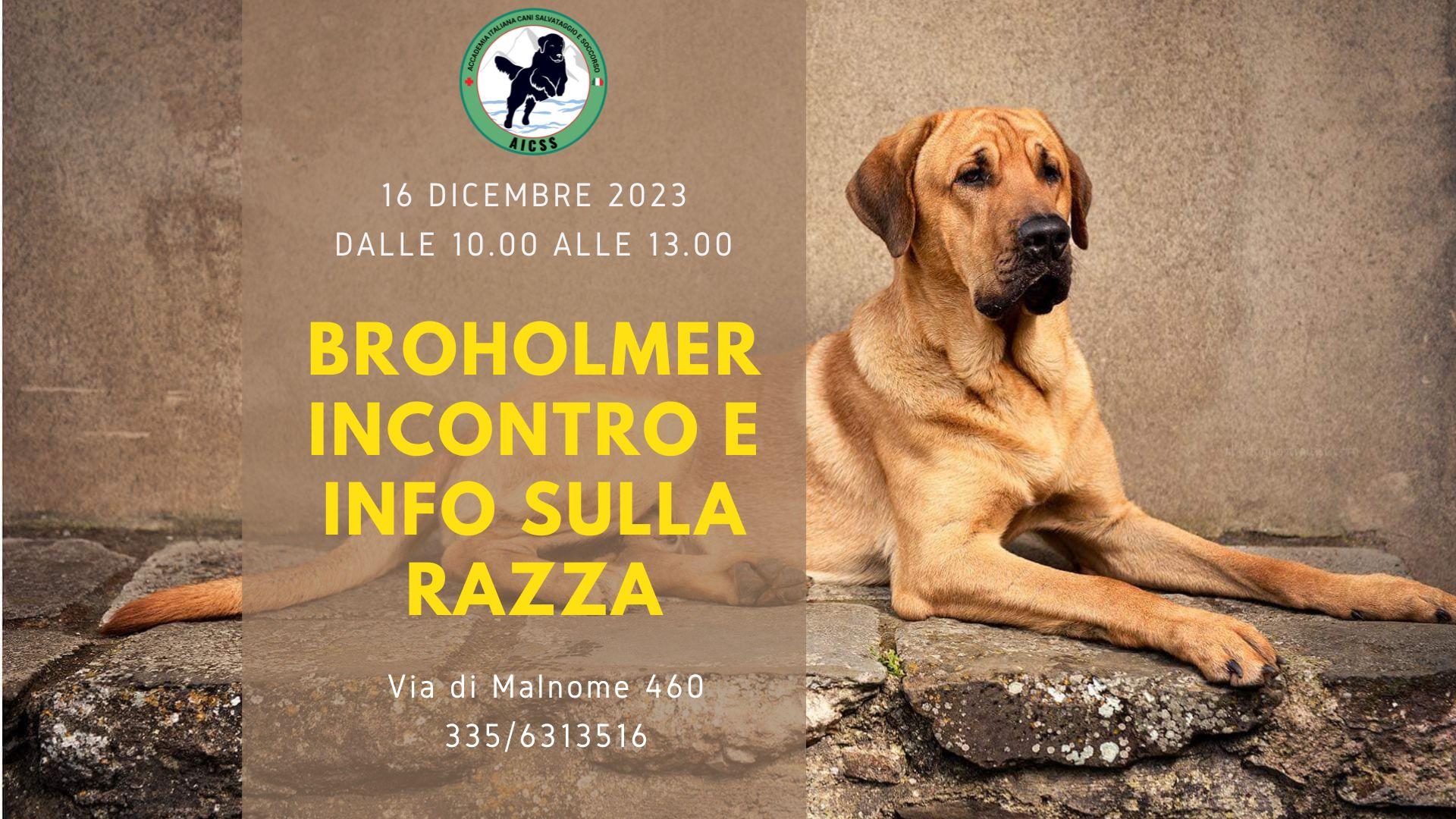 Incontro Broholmer