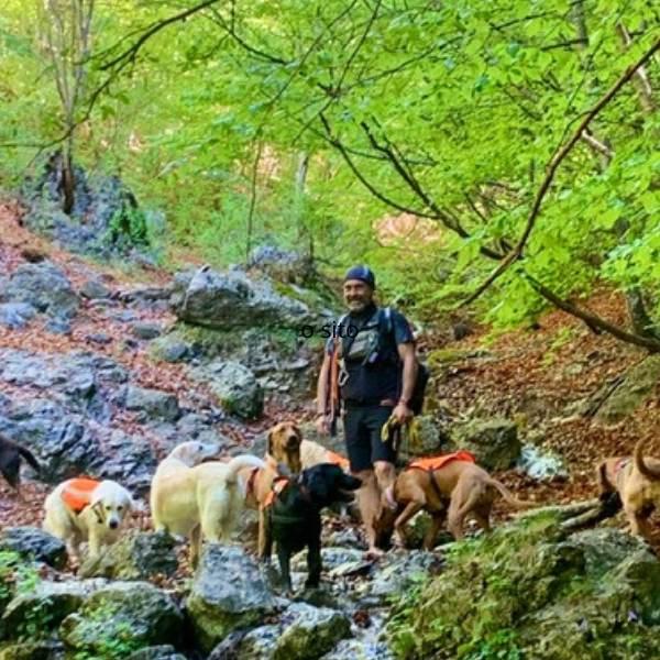 Dog Trekking Campaegli