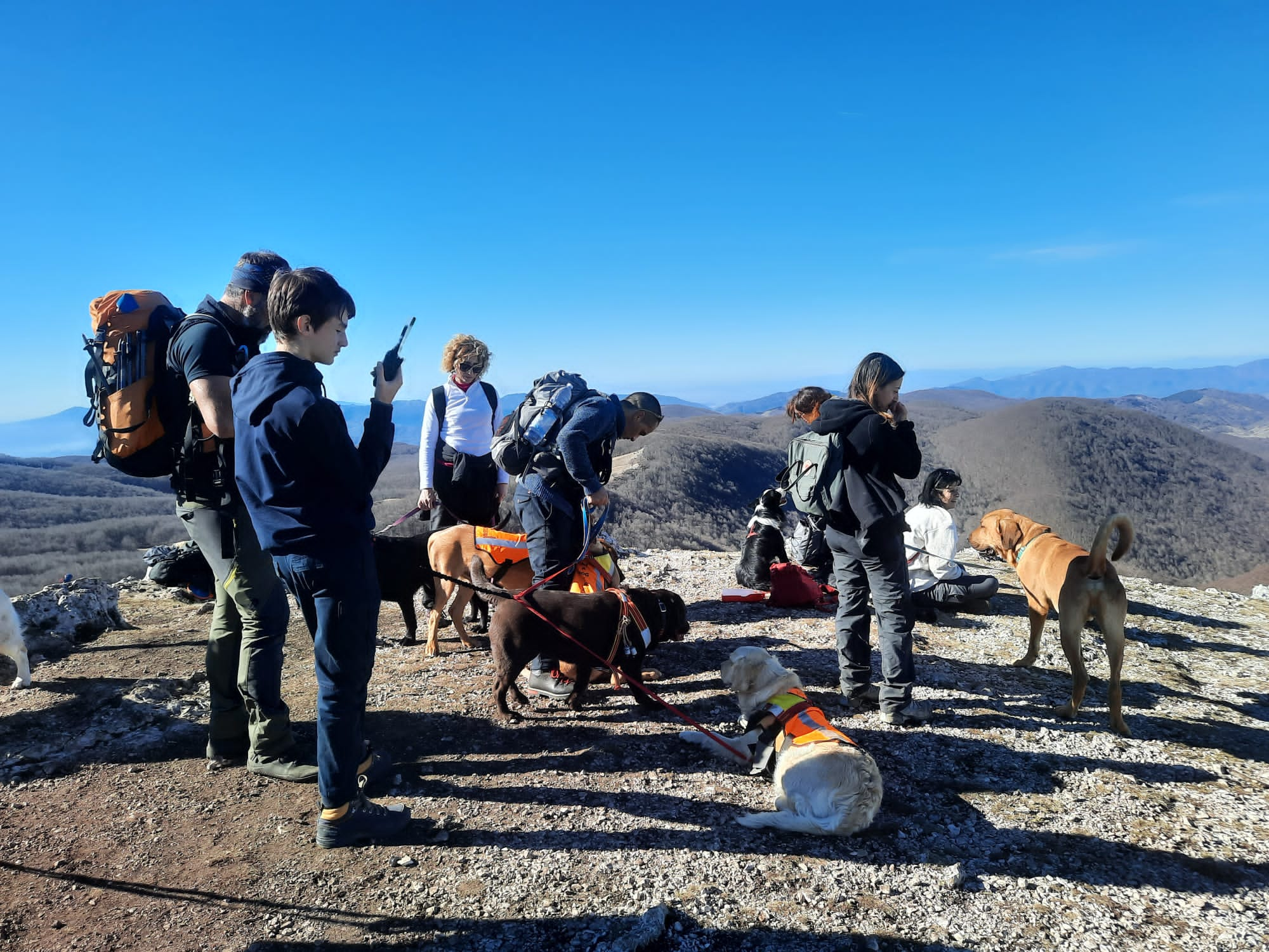 Dog Trekking Campaegli