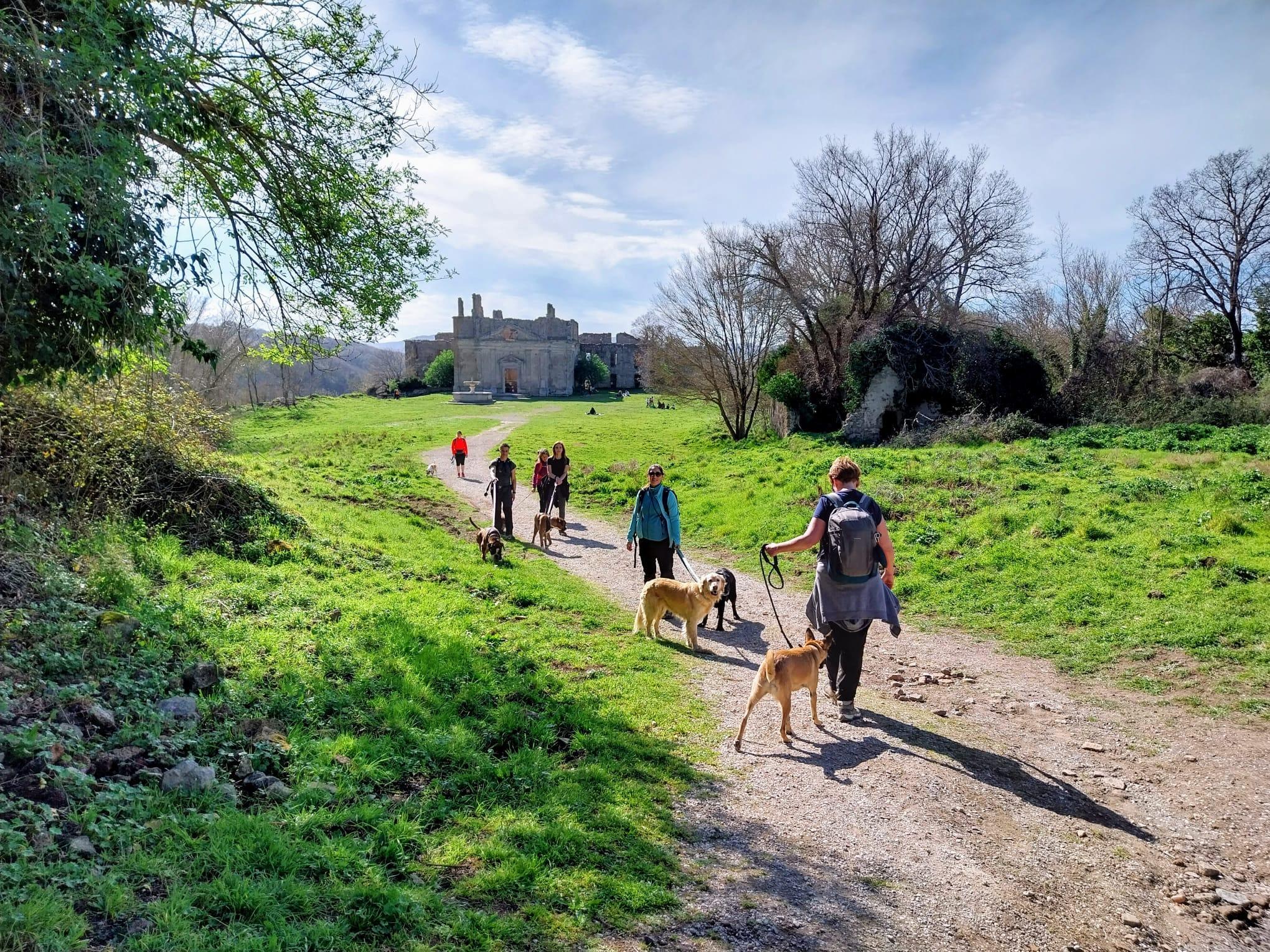 Dog trekking a monterano